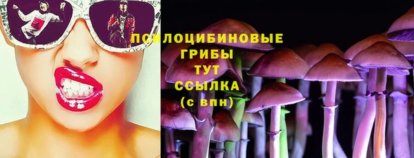 spice Алексин