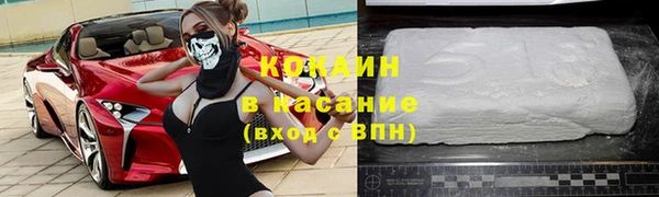 стаф Алзамай