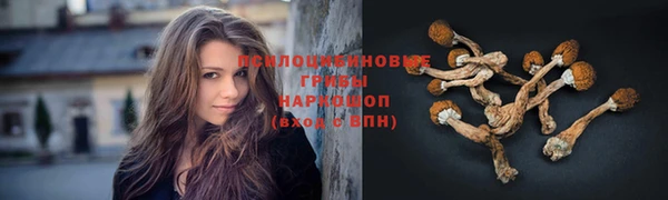 дживик Алексеевка