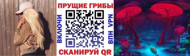 дарк нет телеграм  Духовщина  Псилоцибиновые грибы Psilocybine cubensis 